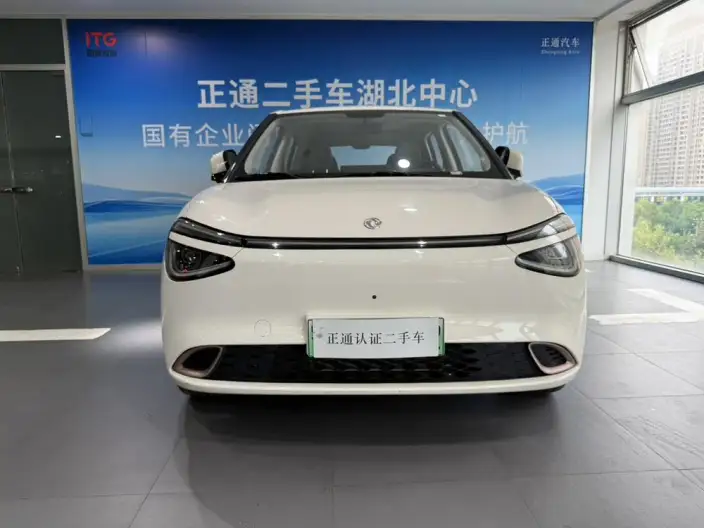 Dongfeng Nano 01 2024 Model 430Plus – фото 2