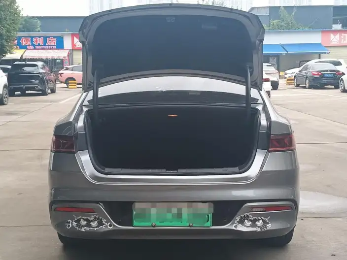 Qin Plus EV 2021 Model 500KM Luxury Model – фото 8