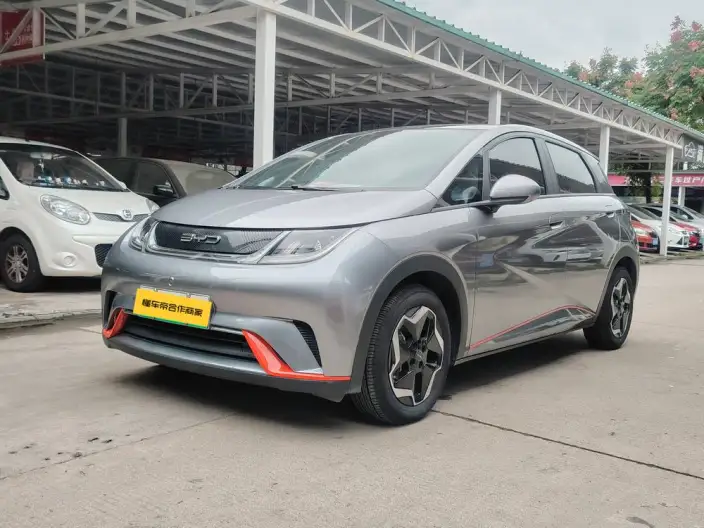 BYD Dolphin 2021 Model Fashion Edition – фото 1