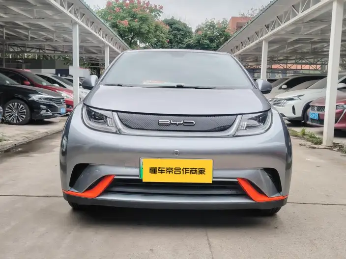 BYD Dolphin 2021 Model Fashion Edition – фото 2