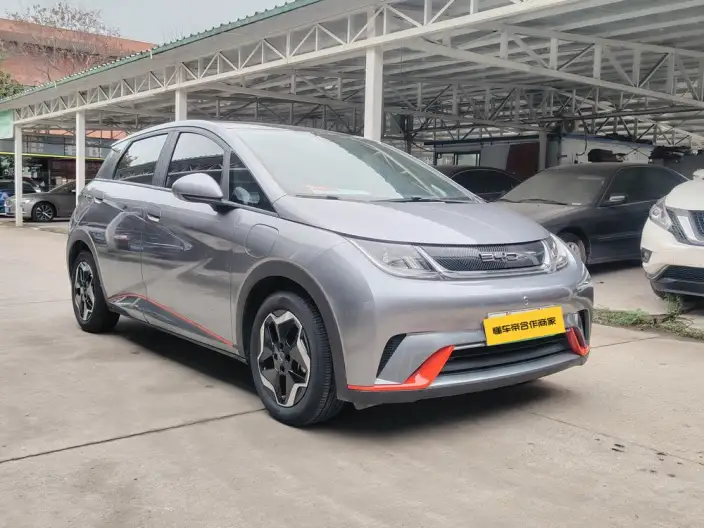 BYD Dolphin 2021 Model Fashion Edition – фото 3