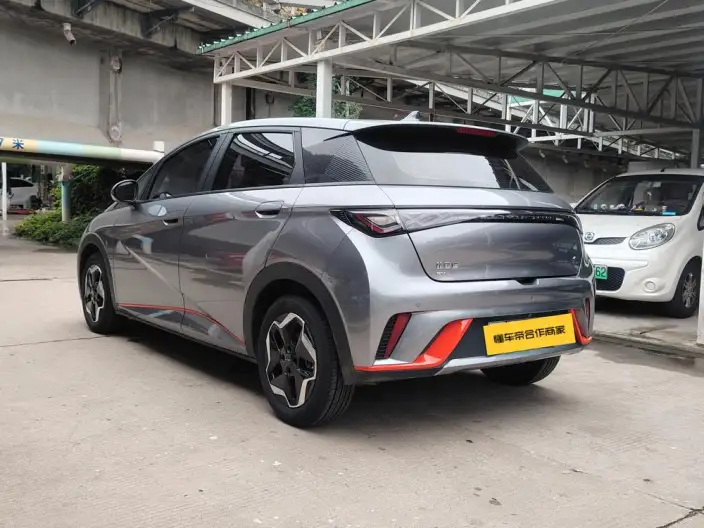 BYD Dolphin 2021 Model Fashion Edition – фото 4
