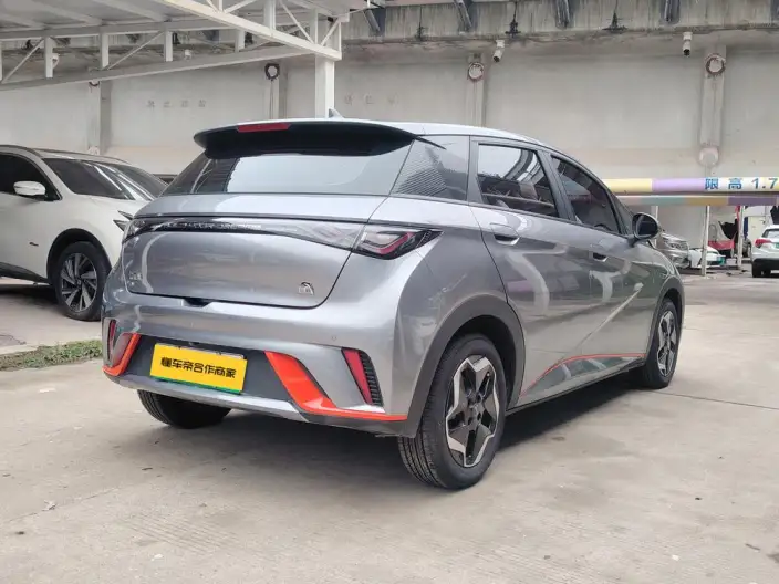 BYD Dolphin 2021 Model Fashion Edition – фото 6