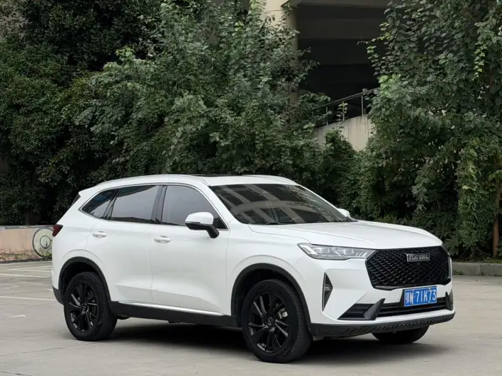 Haval H6 2021 Model Third generation 2.0T Automatic 4WD Supreme+ Edition – фото 3