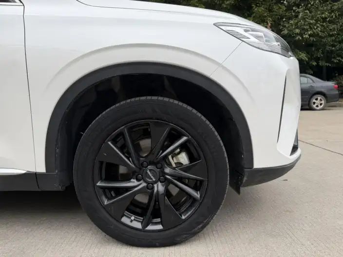Haval H6 2021 Model Third generation 2.0T Automatic 4WD Supreme+ Edition – фото 7