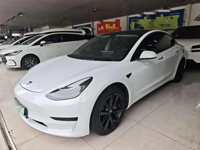Model 3 2021 Model Standard Battery Life Rear Drive L Class Edition 3D1