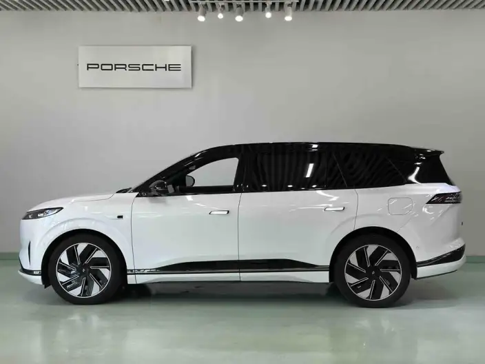 eπ 008 2024 Model 210Max Extended Range Edition 6 seat – фото 2