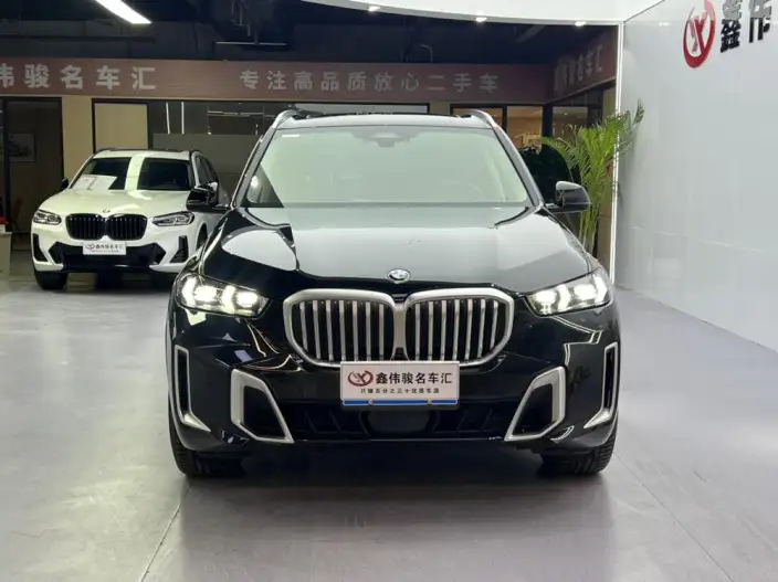 BMW X5 2023 Model xDrive30Li Exclusive Model M Sports Set – фото 2