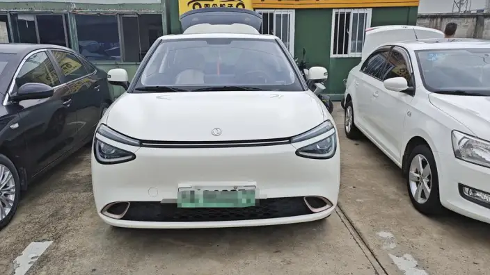 Dongfeng Nano 01 2024 Model 330Lite – фото 2