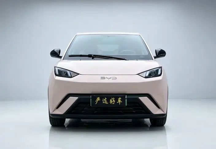 BYD Seagull 2025 Model 305KM Vitality Edition – фото 2