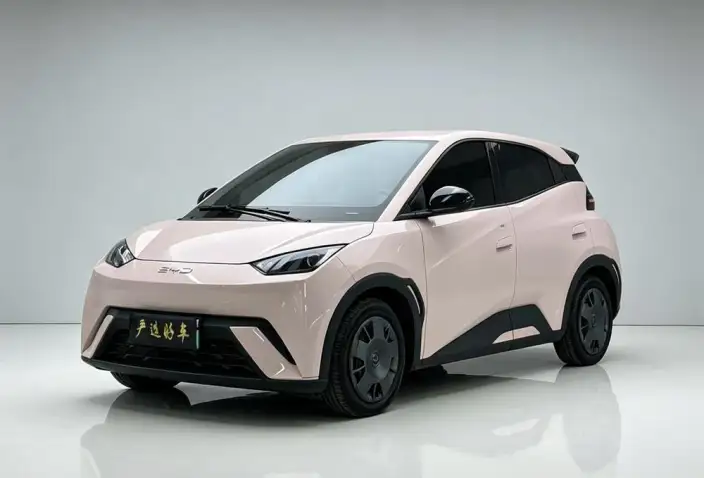 BYD Seagull 2025 Model 305KM Vitality Edition – фото 10