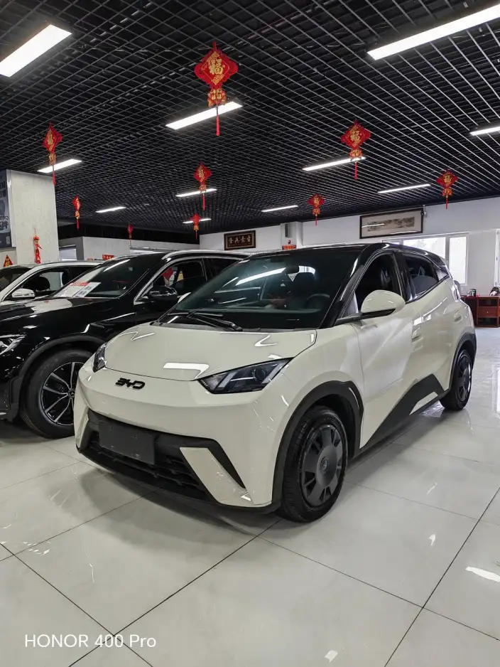 BYD Seagull 2024 Model Honor Edition 305KM Free Edition – фото 1