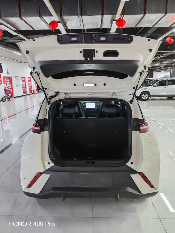 BYD Seagull 2024 Model Honor Edition 305KM Free Edition – фото 3
