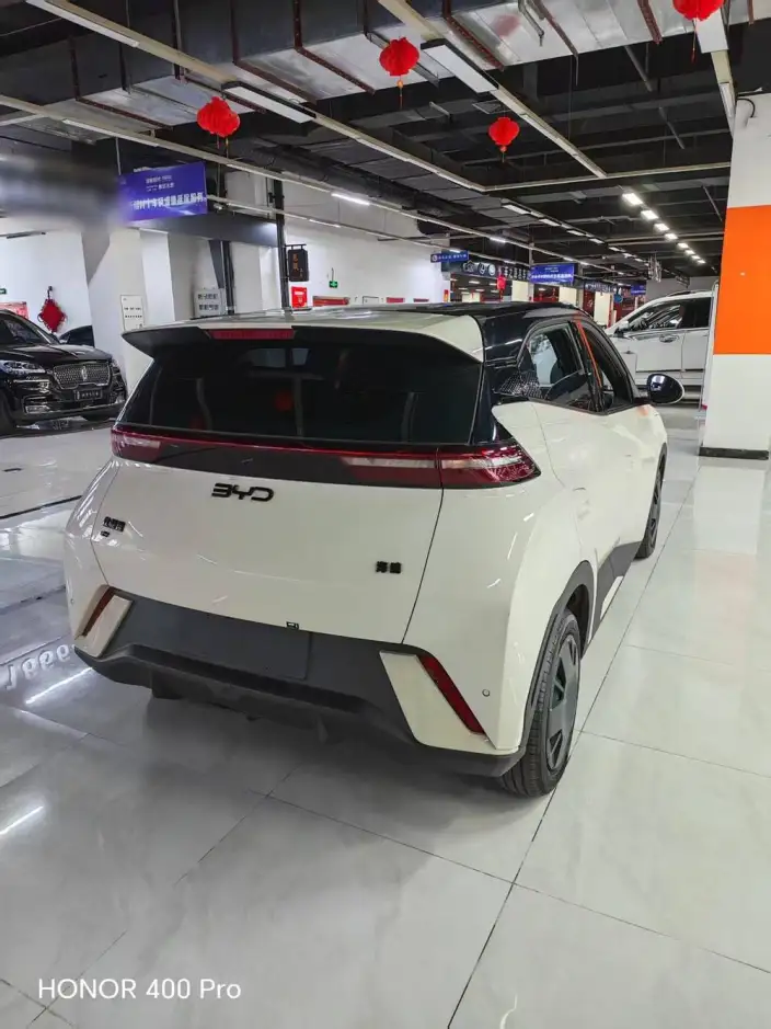BYD Seagull 2024 Model Honor Edition 305KM Free Edition – фото 4
