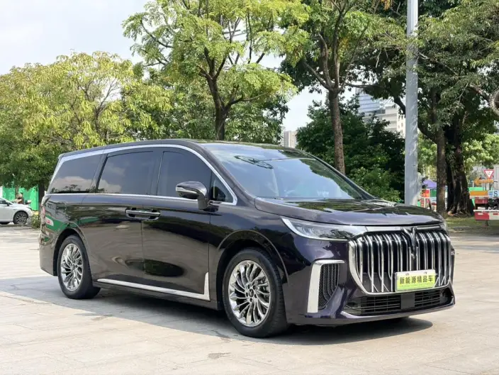 VOYAH Dreamer PHEV 2024 Model Ultra-long Endurance Ultimate Edition – фото 3