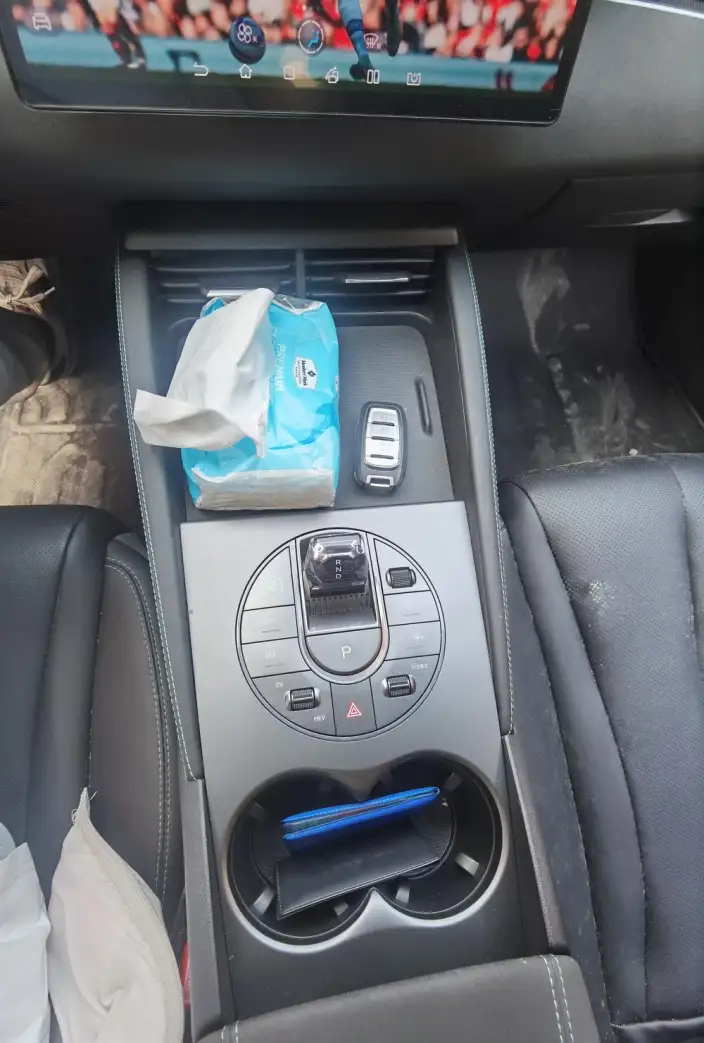 BYD Seal 06 DM 2024 Model DM-i 120KM Exclusive Model – фото 7