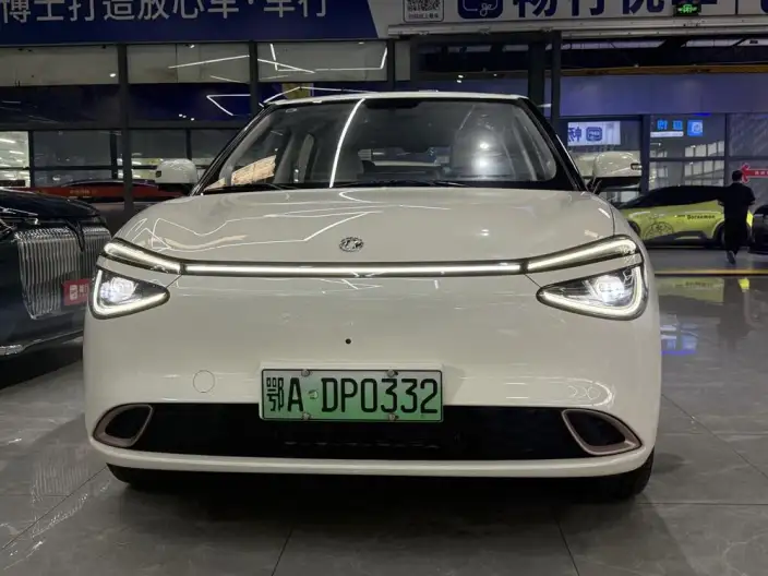 Dongfeng Nano 01 2024 Model 330Lite – фото 2