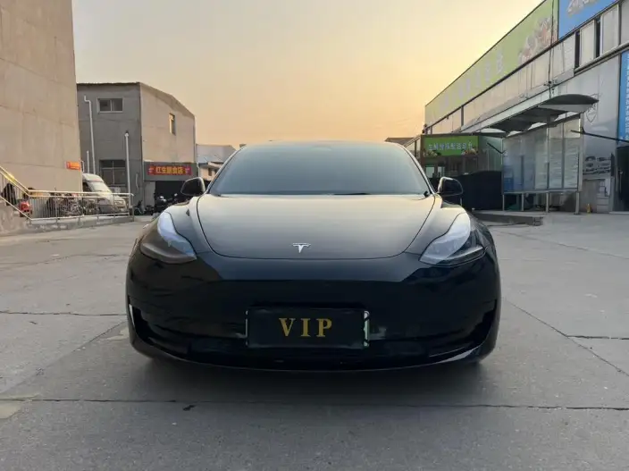 Model 3 2022 Model Rear-wheel drive version – фото 2