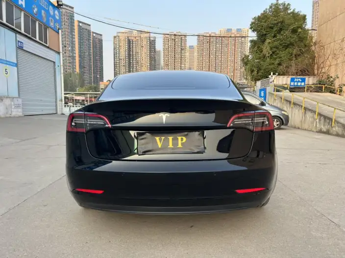 Model 3 2022 Model Rear-wheel drive version – фото 5