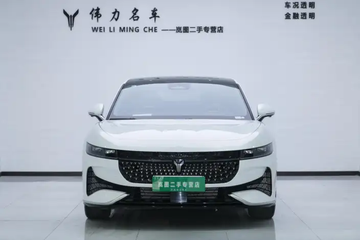 VOYAH Pursuit PHEV 2024 Model Ultra-long Endurance 4WD Executive Edition – фото 2