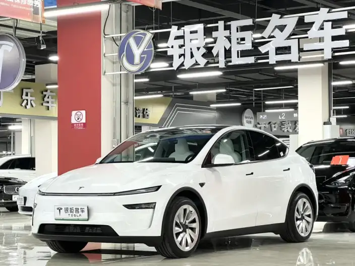 Model Y 2025 Model Rear-wheel drive version – фото 1