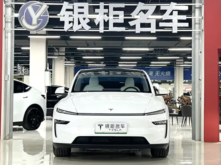 Model Y 2025 Model Rear-wheel drive version – фото 2