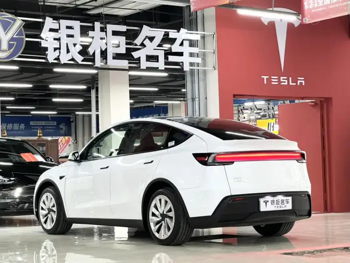 Model Y 2025 Model Rear-wheel drive version – фото 5