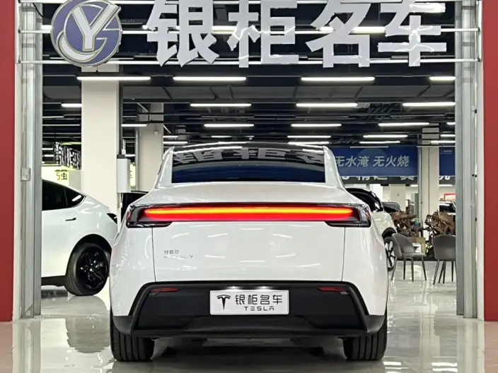 Model Y 2025 Model Rear-wheel drive version – фото 6