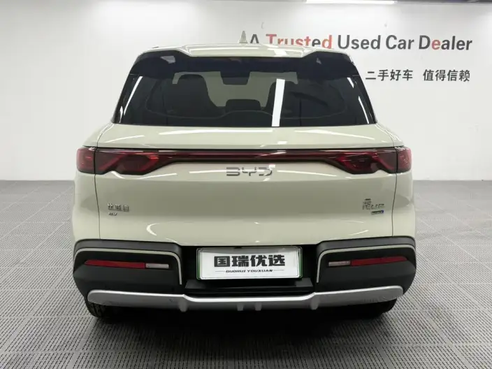 Yuan UP 2025 Model Smart Driving Edition 401KM Vitality Edition – фото 5