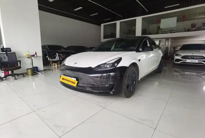 Model 3 2022 Model Rear-wheel drive version – фото 1