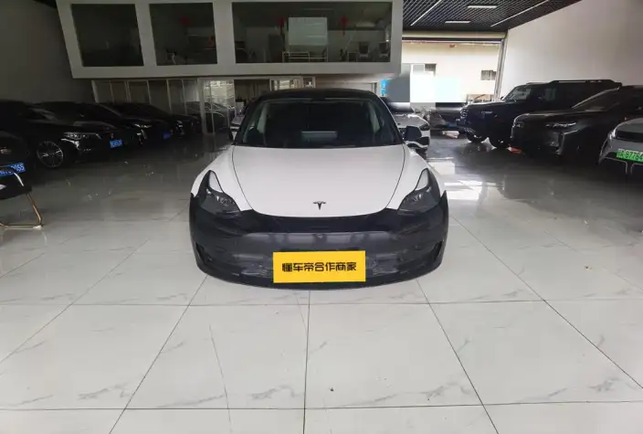 Model 3 2022 Model Rear-wheel drive version – фото 2