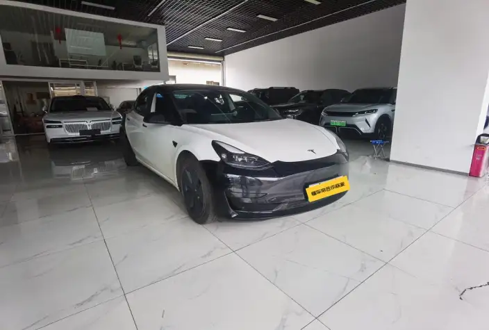 Model 3 2022 Model Rear-wheel drive version – фото 3