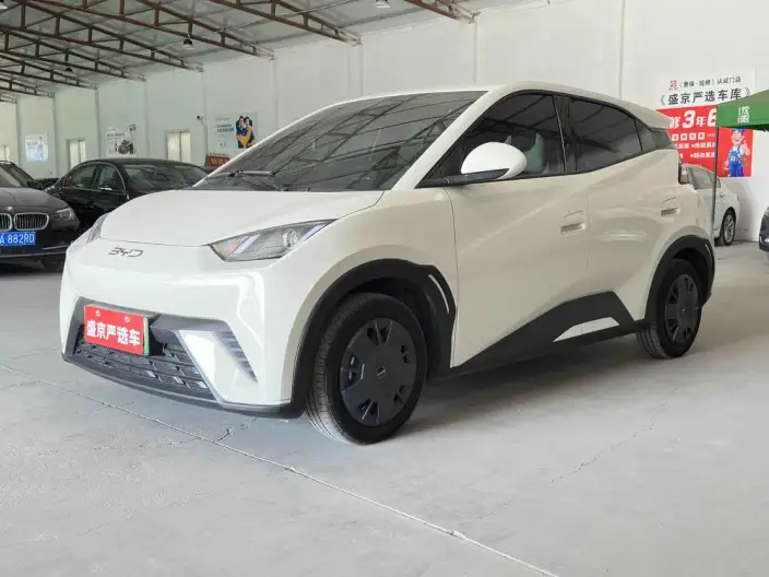 BYD Seagull 2025 Model 305KM Vitality Edition – фото 1