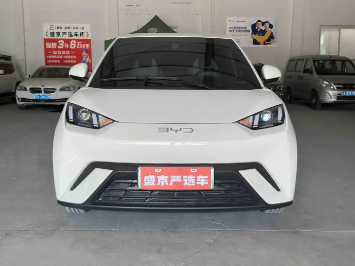 BYD Seagull 2025 Model 305KM Vitality Edition – фото 2