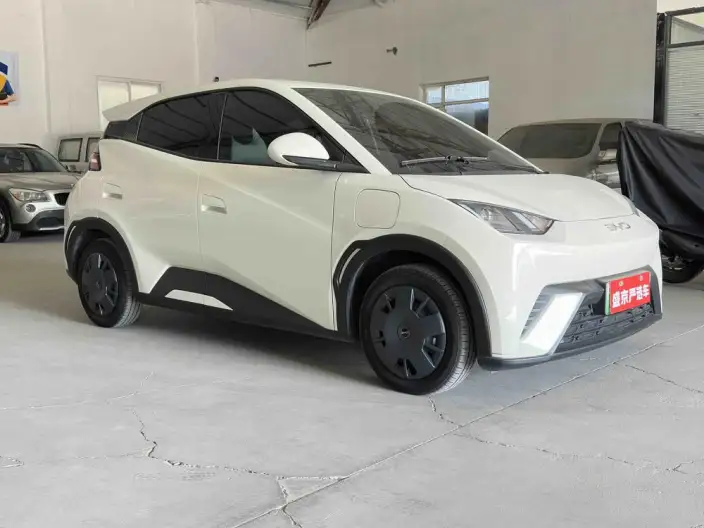 BYD Seagull 2025 Model 305KM Vitality Edition – фото 3