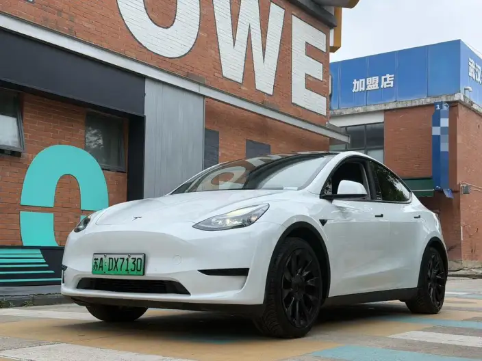 Model Y 2022 Model Rear-wheel drive version – фото 1