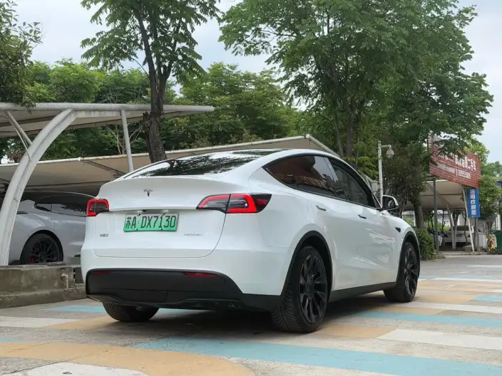 Model Y 2022 Model Rear-wheel drive version – фото 5