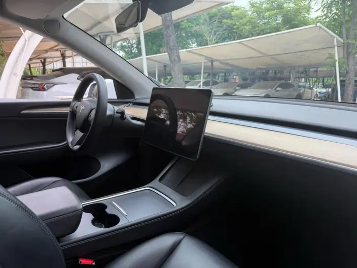 Model Y 2022 Model Rear-wheel drive version – фото 7