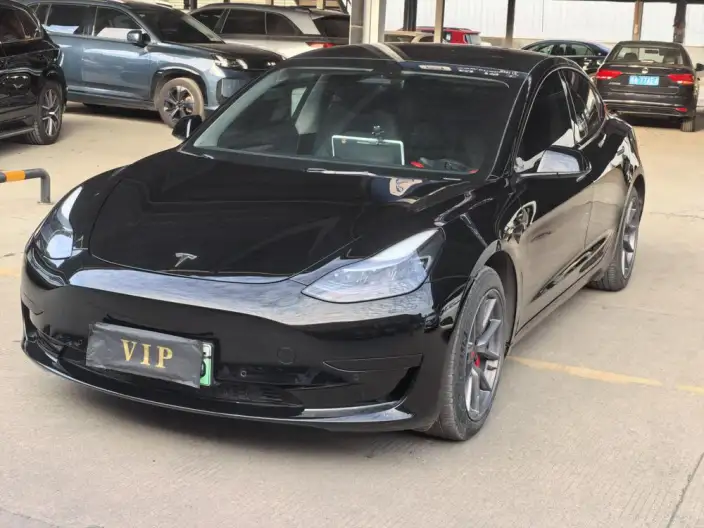 Model 3 2022 Model Rear-wheel drive version – фото 1