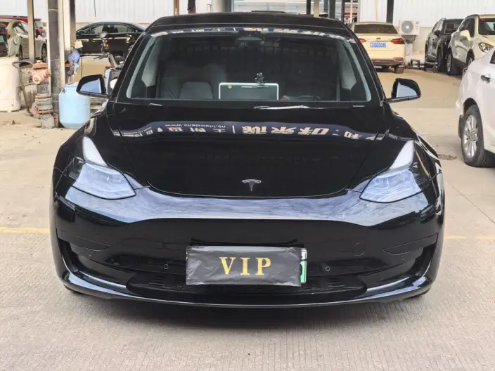 Model 3 2022 Model Rear-wheel drive version – фото 2