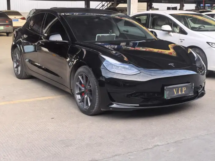 Model 3 2022 Model Rear-wheel drive version – фото 3