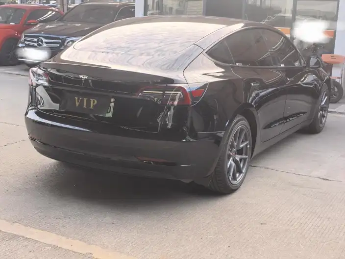 Model 3 2022 Model Rear-wheel drive version – фото 6