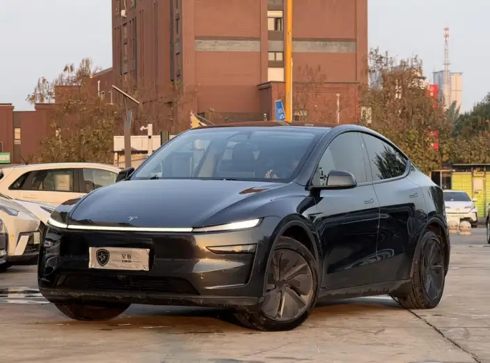 Model Y 2025 Model Rear-wheel drive version – фото 1