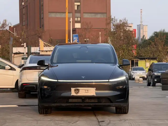 Model Y 2025 Model Rear-wheel drive version – фото 2