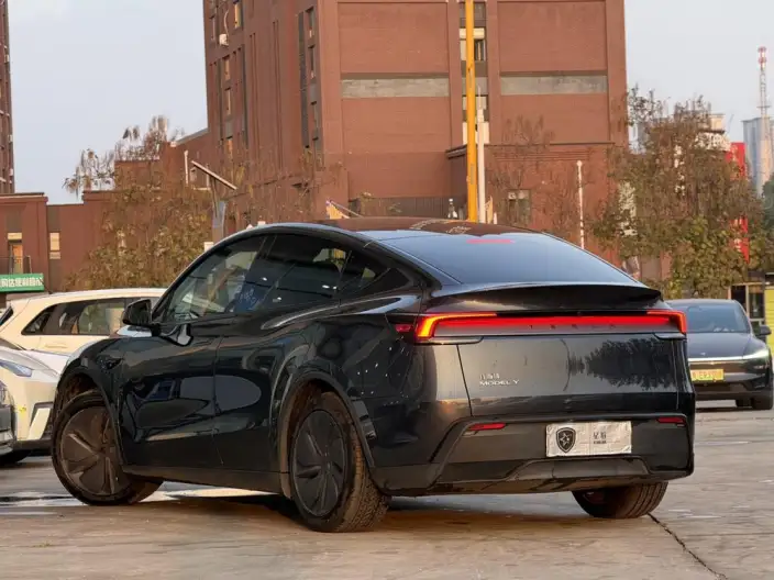 Model Y 2025 Model Rear-wheel drive version – фото 4