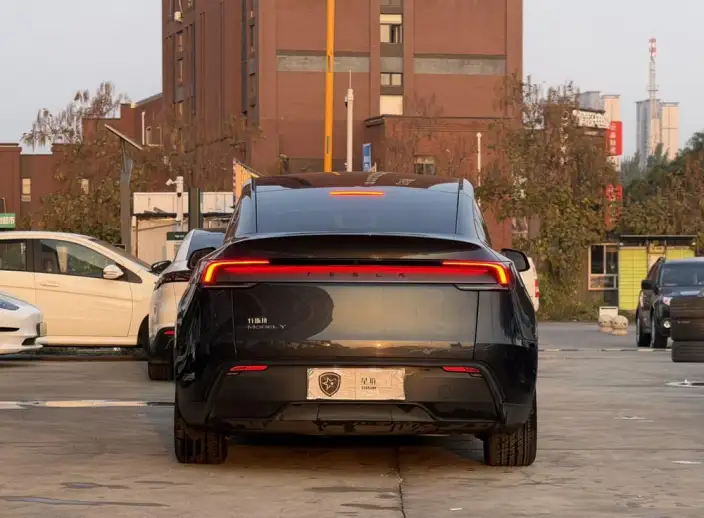 Model Y 2025 Model Rear-wheel drive version – фото 5