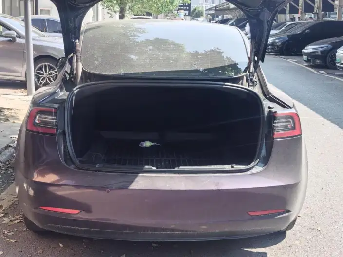 Model 3 2023 Model Rear-wheel drive version – фото 5