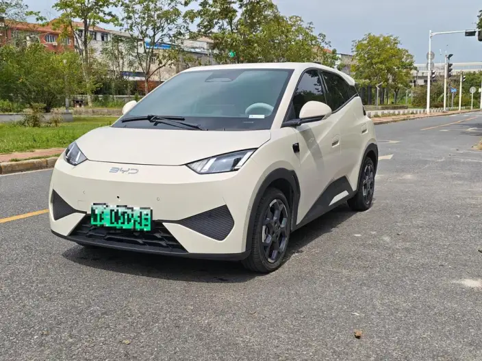 BYD Seagull 2025 Model Smart Driving Edition 305KM Free Edition – фото 1