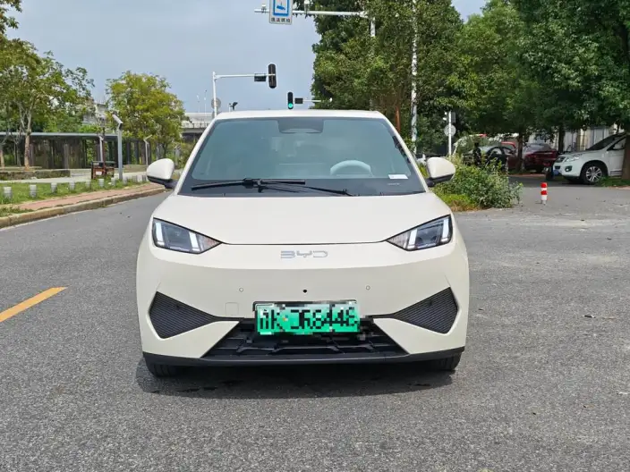 BYD Seagull 2025 Model Smart Driving Edition 305KM Free Edition – фото 2