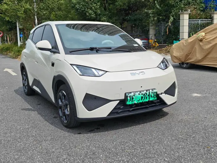 BYD Seagull 2025 Model Smart Driving Edition 305KM Free Edition – фото 3